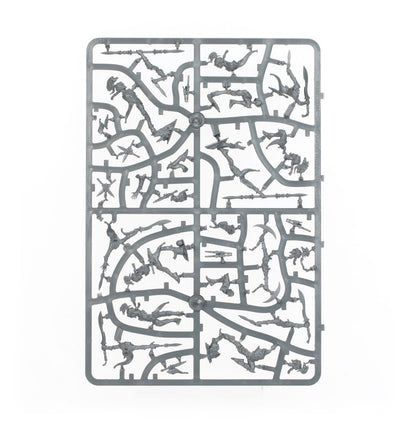 Warhammer Age of Sigmar Lumineth Realm-Lords Ydrilan Riverblades