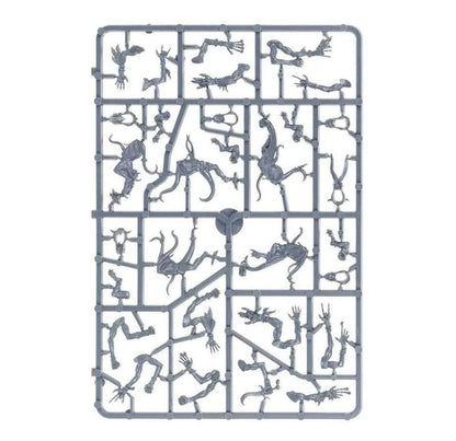 Warhammer Age of Sigmar: Pink Horrors