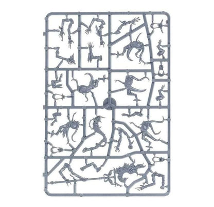 Warhammer Age of Sigmar: Pink Horrors