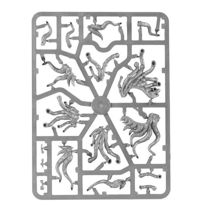 Warhammer Age of Sigmar: Beast of Nurgle