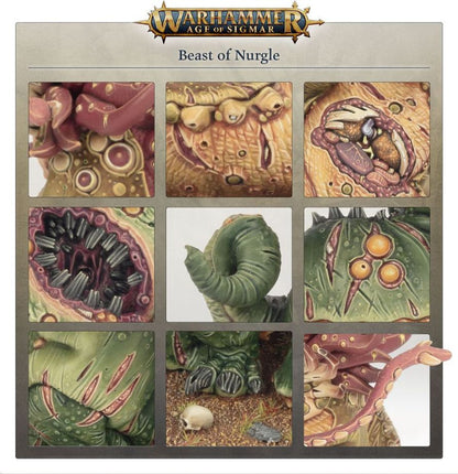 Warhammer Age of Sigmar: Beast of Nurgle